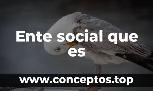 Que es el ente publico 4 Ente social que es
