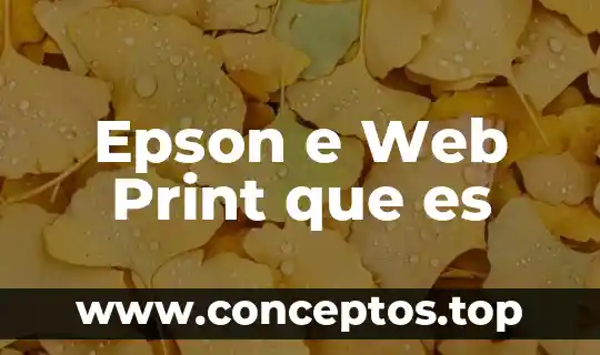Epson e Web Print que es
