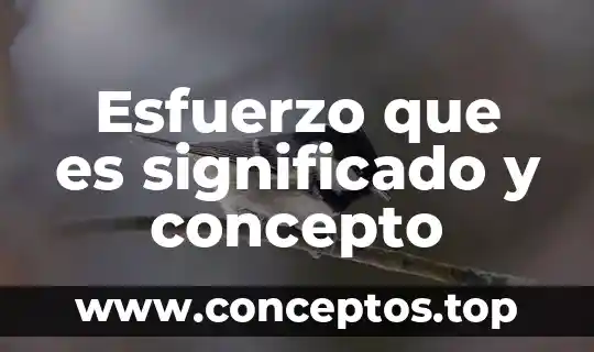 Que es el significado de impresora 5 Esfuerzo que es significado y concepto