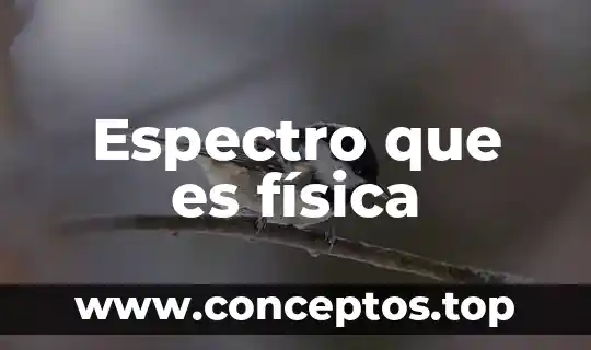 Espectro que es física