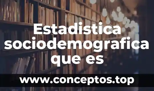 Estadistica sociodemografica que es