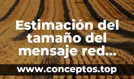 Estimación del tamaño del mensaje red que es