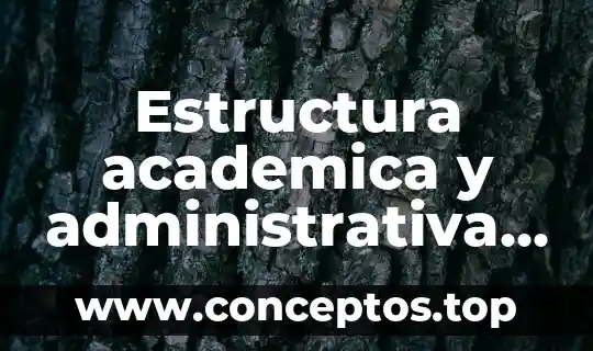 Estructura academica y administrativa de la preparatoria que es