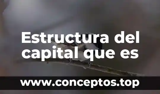 Estructura del capital que es