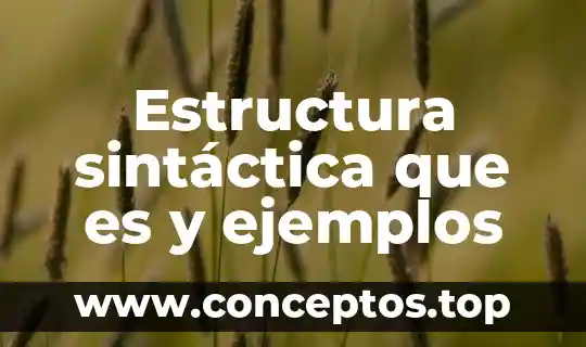 Estructura sintáctica que es y ejemplos