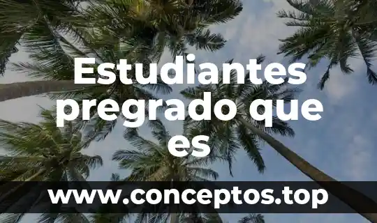 Estudiantes pregrado que es