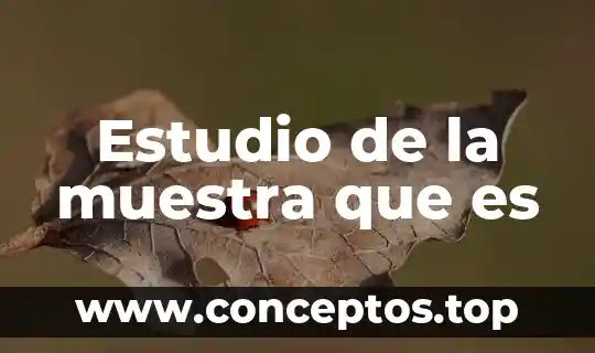 Estudio de la muestra que es