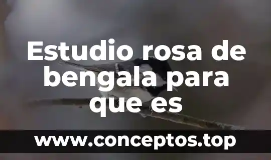 Estudio rosa de bengala para que es
