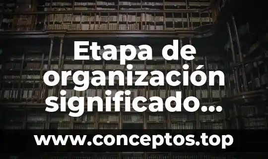 Que es sakai y sus caracteristicas 6 Etapa de organización significado características y que es