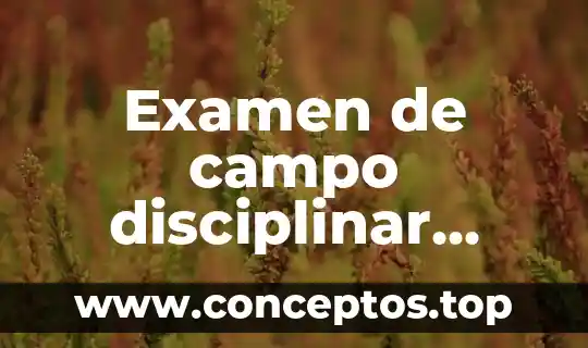 Examen de campo disciplinar Ceneval que es