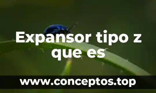 Expansor tipo z que es