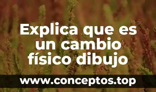 Explica que es un cambio físico dibujo