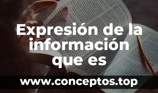 Expresión de la información que es