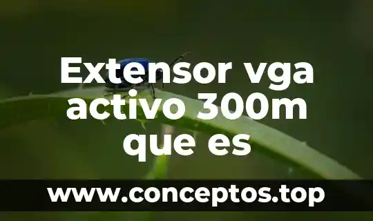 Extensor vga activo 300m que es