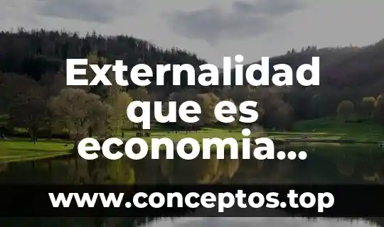 Qué es la igualdad en economía 4 Externalidad que es economia concepto fcil