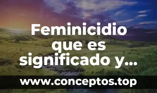 Qué es valladar significado 5 Feminicidio que es significado y concepto