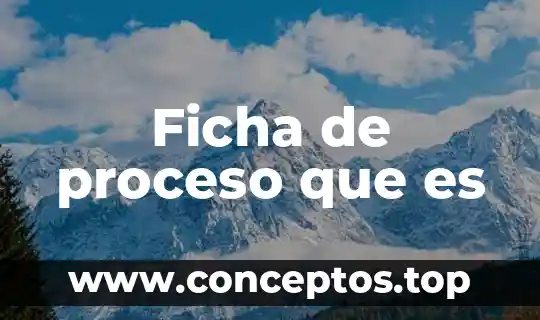 Ficha de proceso que es