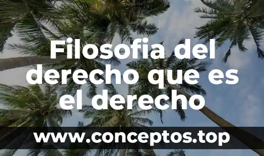 Filosofia del derecho que es el derecho