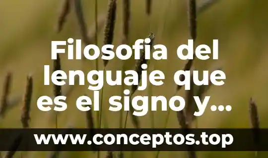 Filosofia del lenguaje que es el signo y simbolo