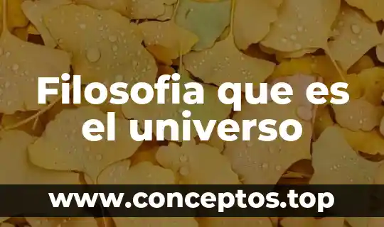 Filosofia que es el universo