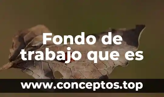 Fondo de trabajo que es