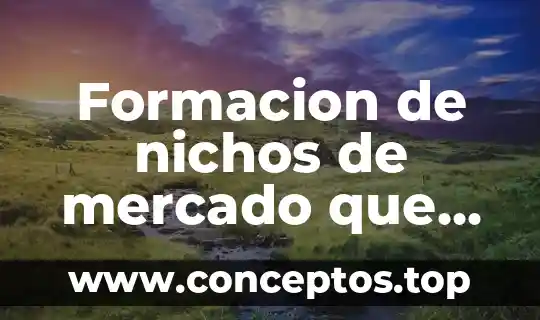 Formacion de nichos de mercado que es