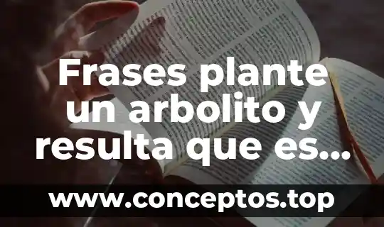 Frases plante un arbolito y resulta que es ilegal