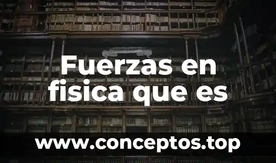 Fuerzas en fisica que es