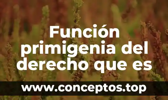 Que es la funcion de un compuesto 6 Función primigenia del derecho que es