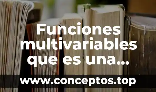 Funciones multivariables que es una curva de nivel