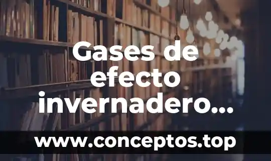 Que es el dhl y cuales son sus valores 8 Gases de efecto invernadero que es y cuales son