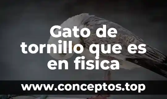 Gato de tornillo que es en fisica