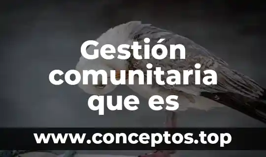 Gestión comunitaria que es