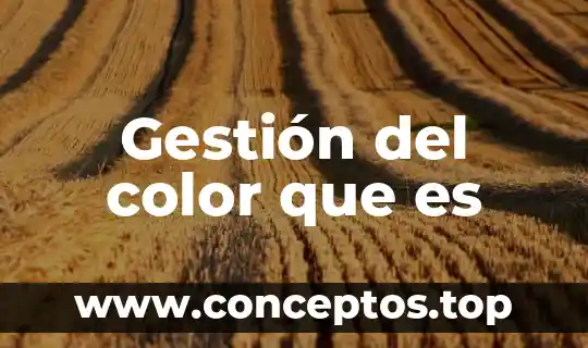 Gestión del color que es