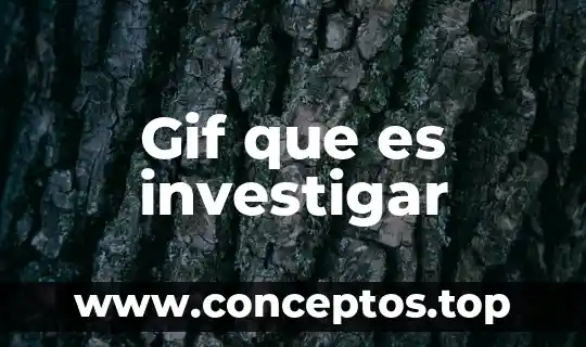 Gif que es investigar