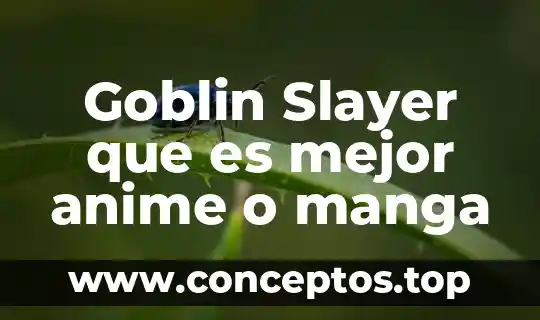 Goblin Slayer que es mejor anime o manga