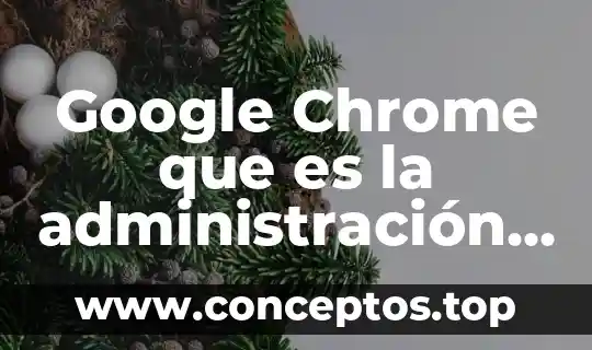 Google Chrome que es la administración del proyecto