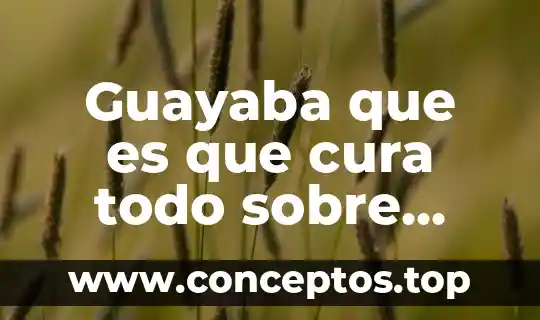 Albahaca que es que cura todo sobre esta planta 4 Guayaba que es que cura todo sobre esta planta