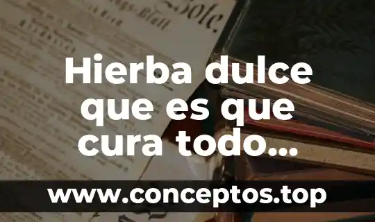 Albahaca que es que cura todo sobre esta planta 7 Hierba dulce que es que cura todo sobre esta planta