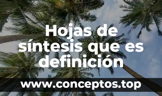 Que es una síntesis valorativa y cómo se realiza 3 Hojas de síntesis que es definición