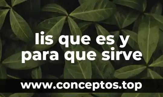 Iis que es y para que sirve
