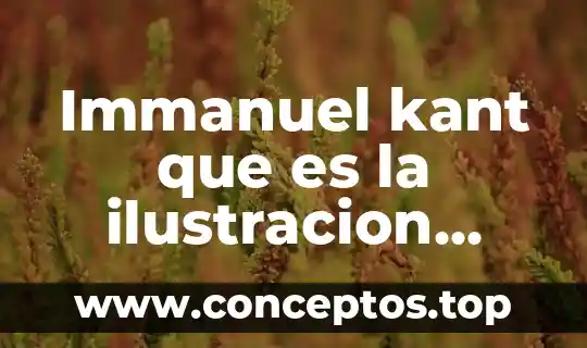 Immanuel kant que es la ilustracion resumen