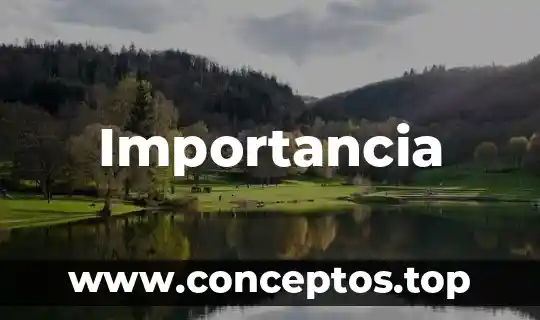 Que es importancia a la disciplina tesis 5 Importancia