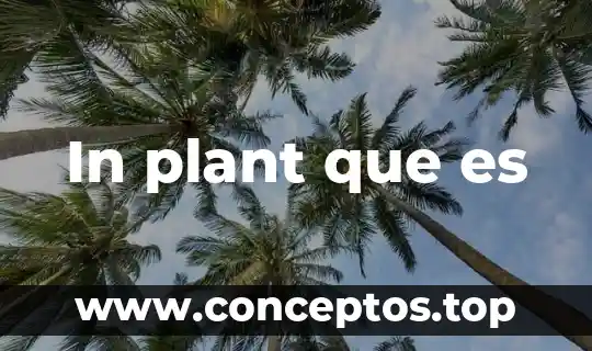 In plant que es