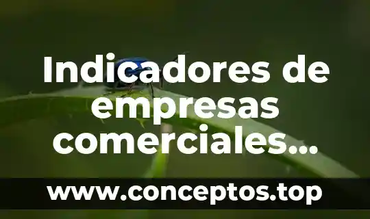 Modelos de contratos comerciales que es 8 Indicadores de empresas comerciales que es