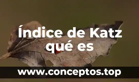Índice de Katz qué es