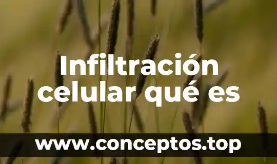Infiltración celular qué es