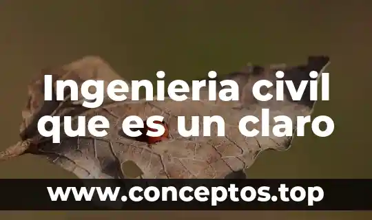 Ingenieria en logistica que es y que hace 6 Ingenieria civil que es un claro