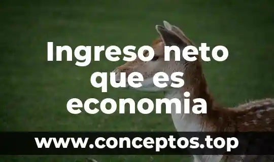 Ingreso neto que es economia