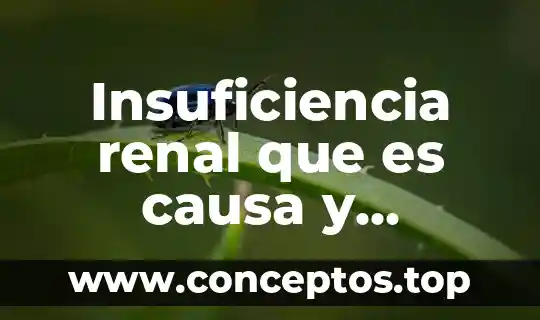 Insuficiencia renal que es causa y tratamiento